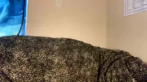 dove_love22 online show from 11/30/25, 09:19