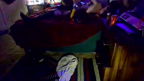 Driver Dick  Kylie Tits online show from 02/09/26, 05:00