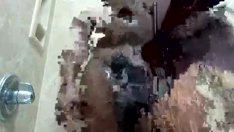 MrPirated online show from 01/18/26, 01:59