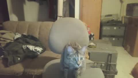 Snapshot of drac2009 chatting on 01/28/25, 05:11 drac2009 online show from 01/28/25, 05:11