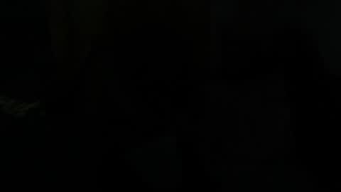 Dragon online show from 01/28/25, 07:43