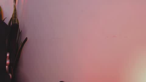 drake_cole11 online show from 02/04/25, 03:22