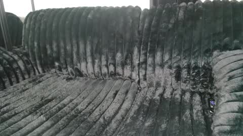 Snapshot of drayanicole1 chatting on 03/09/25, 11:25 Draya Nicole online show from 03/09/25, 11:25