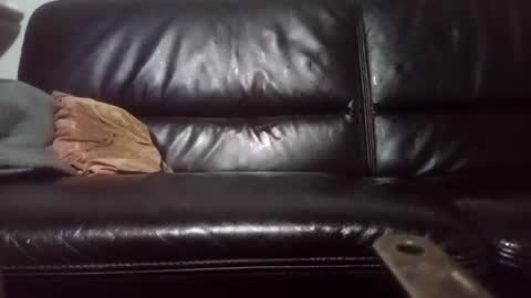 Carsten Tenberg online show from 02/20/25, 03:56