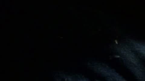 Snapshot of dreadedted chatting on 11/24/25, 08:14 Dreadedted online show from 11/24/25, 08:14