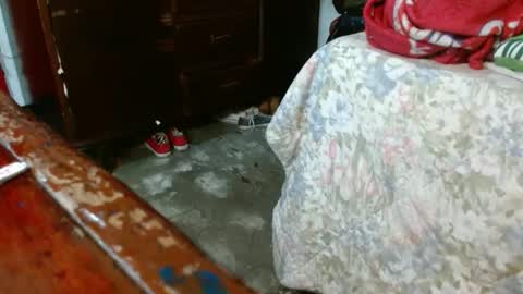 dreamreal online show from 10/28/25, 10:52