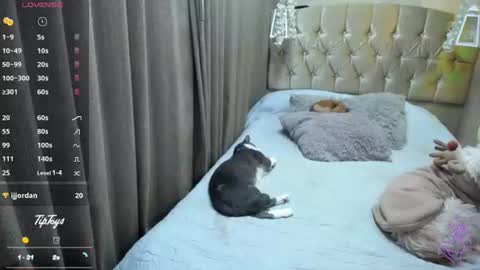 Snapshot of dreams_sophi chatting on 07/10/26, 11:40 Sophia online show from 07/10/26, 11:40