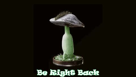 Tara  Sonny online show from 02/20/25, 11:54