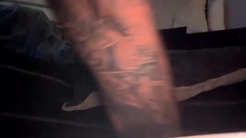 drippinggenie online show from 01/03/25, 11:25