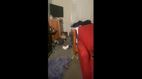 Drippy kitty  online show from 12/22/25, 09:50