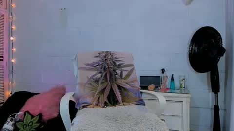 drippyorlove online show from 04/16/26, 07:14