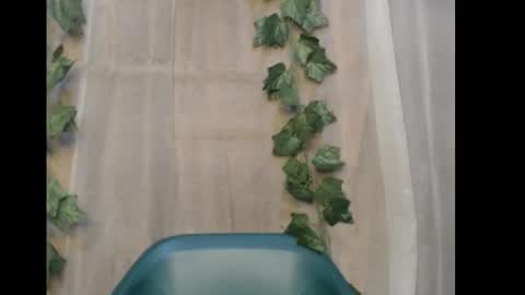 linda online show from 12/21/25, 12:18