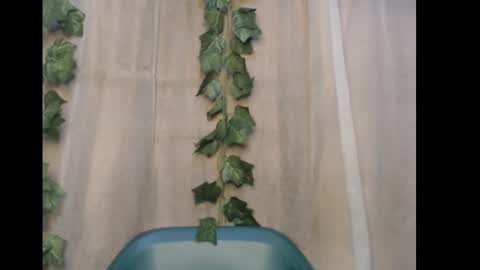 linda online show from 01/10/26, 05:37