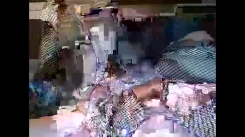 driver187 online show from 12/19/24, 07:40