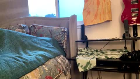 Snapshot of driving_perfectly chatting on 03/04/26, 01:55 driving_perfectly online show from 03/04/26, 01:55