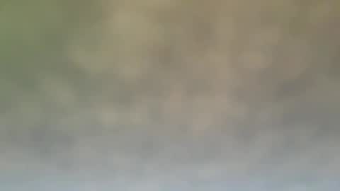 Snapshot of dt51114 chatting on 12/21/24, 06:55 StraightStroker online show from 12/21/24, 06:55