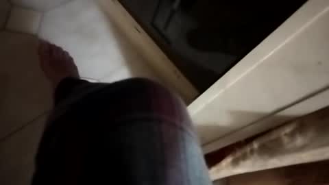 dthedog12 online show from 11/06/25, 12:55