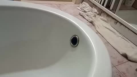 dthedog12 online show from 11/09/25, 09:46