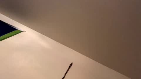 ducebabydee online show from 01/19/26, 09:13