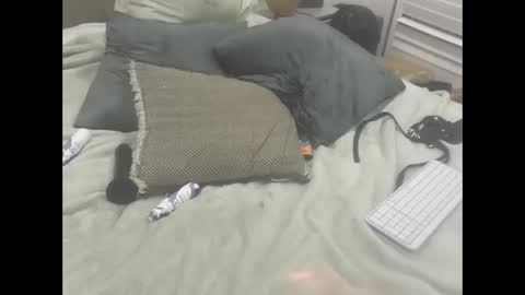 Dude online show from 02/18/26, 11:55