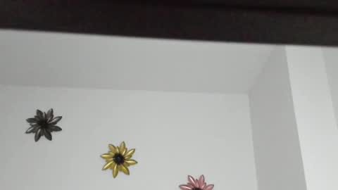 Snapshot of dulce_roberts_ chatting on 01/05/25, 02:08 Dulce online show from 01/05/25, 02:08