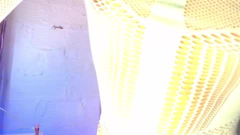 dulce_smith02 online show from 03/22/26, 12:47