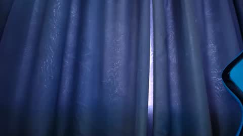 Snapshot of dumont_model chatting on 03/01/25, 04:11 Nicole   online show from 03/01/25, 04:11