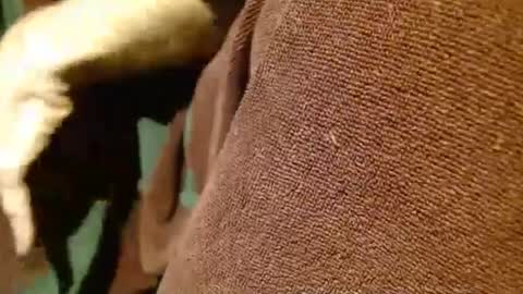 dunany101 online show from 03/05/25, 12:49