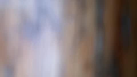 dVe1oPe online show from 11/26/25, 09:54