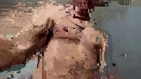 dvsshoes12 online show from 10/12/25, 11:26