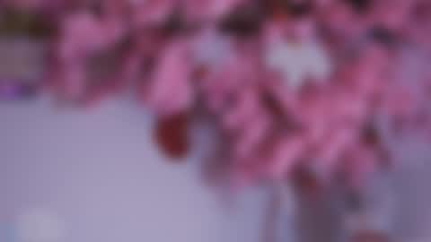 Dwayne xx online show from 12/15/24, 08:47