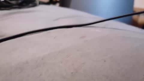 ted online show from 01/18/26, 09:46