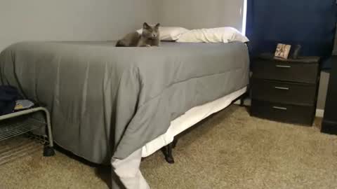 dwhitey4u online show from 12/31/24, 08:02