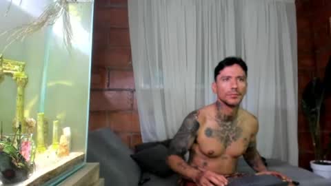D Y L A N online show from 05/11/26, 05:46