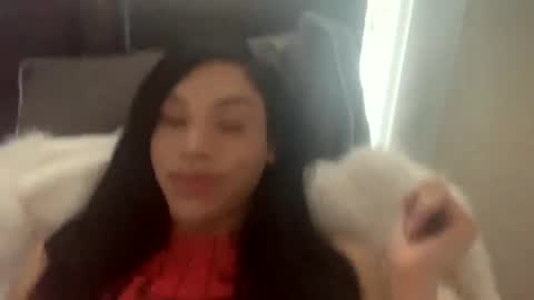 Dynasty online show from 02/04/25, 09:10