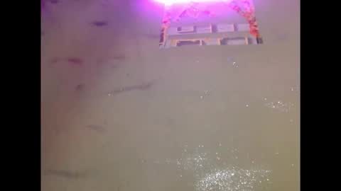 Snapshot of eatuupx chatting on 12/19/25, 03:41 eatuupx online show from 12/19/25, 03:41