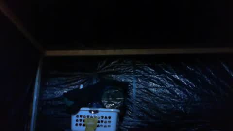 ebear1 online show from 02/27/25, 09:36