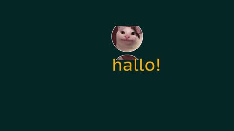 Snapshot of eblidator chatting on 12/29/24, 08:33 Vaco Eblidator online show from 12/29/24, 08:33
