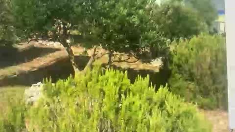 ebnk15 online show from 09/30/25, 08:08