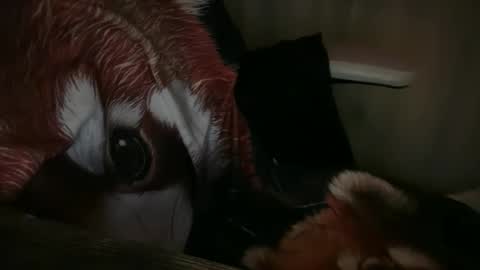 americnbarbie online show from 11/13/25, 01:04