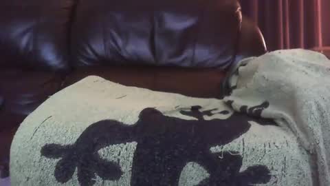 Snapshot of ectopicstarfish chatting on 12/13/24, 08:41 Ectopicstarfish online show from 12/13/24, 08:41