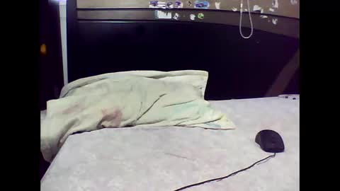 Edd Gallego online show from 11/02/25, 07:05