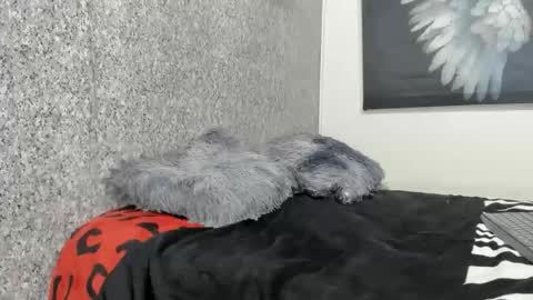 edi_stwix18 online show from 01/13/26, 03:39