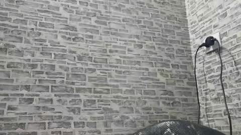 edithmanning online show from 01/18/25, 11:11