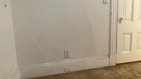 edvmendez1766 online show from 11/18/25, 03:23