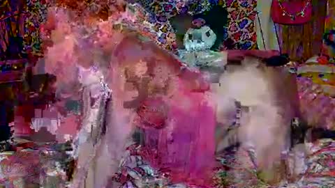 Sparkly Haile online show from 02/18/25, 03:42