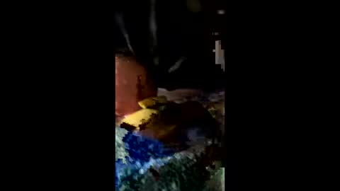 ehdgher online show from 02/27/26, 11:21