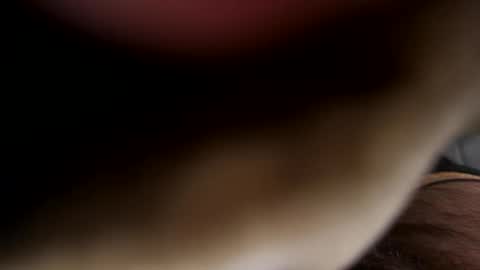 ehdgher online show from 04/21/26, 07:47