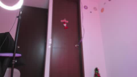 Snapshot of eileen_pinkman chatting on 12/24/24, 10:33 eileen_pinkman online show from 12/24/24, 10:33