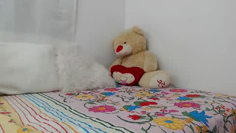 eileenmost online show from 12/19/24, 11:46